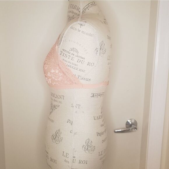 Talula Aritzia Pink Lace Bralette - Picture 2 of 13